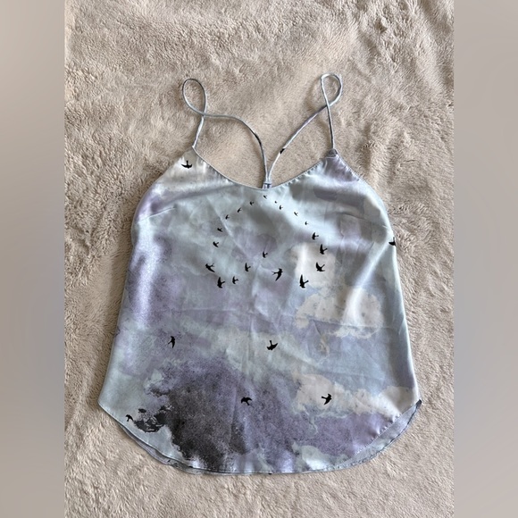 Victoria’s Secret Sky Blue Cami - Picture 1 of 9